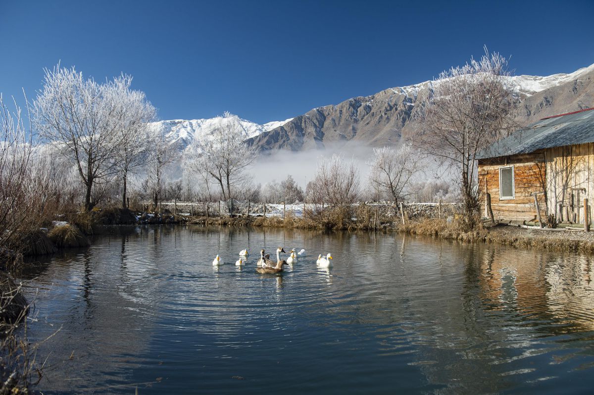 Tunceli\'de ağaçlar kırağı tuttu, karlı dağların zirvesi sisle kaplandı