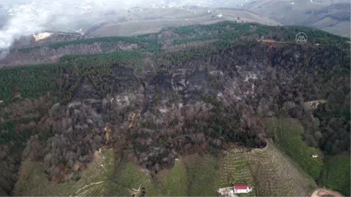 Orman yangınında zarar gören 50 dönümlük alan havadan görüntülendi