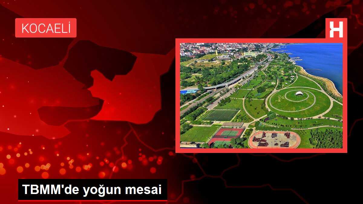 TBMM'de yoğun mesai
