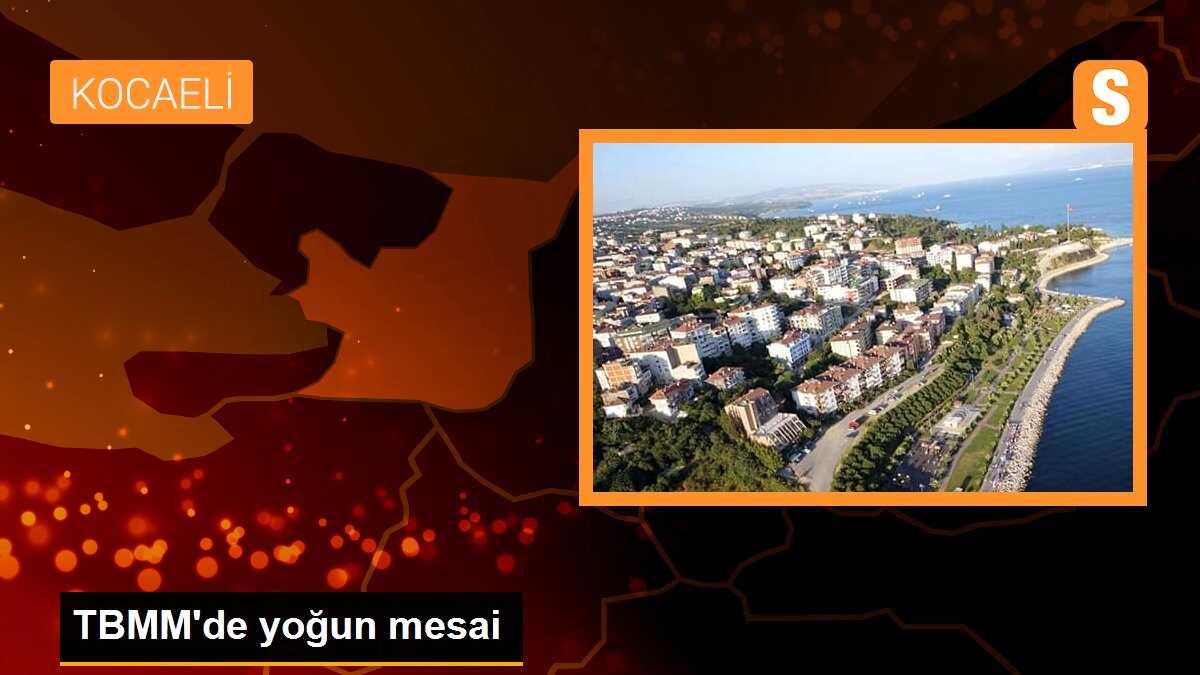 TBMM\'de yoğun mesai
