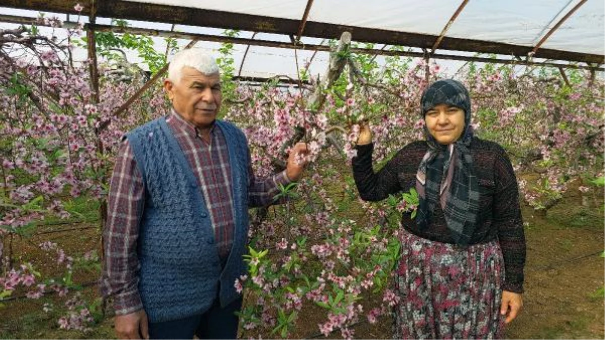 TOROSLAR\'DA KARLA MÜCADELE, AKDENİZ\'DE BAHAR