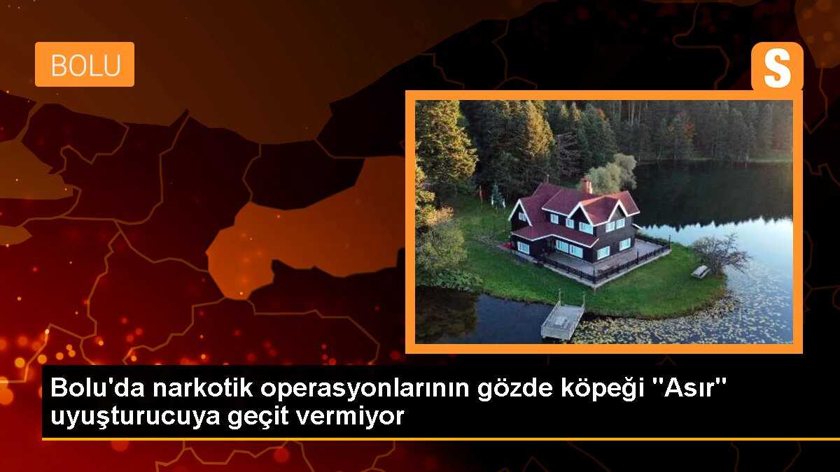 Bolu\'da narkotik operasyonlarının gözde köpeği "Asır" uyuşturucuya geçit vermiyor