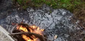 Habersiz yakılan kuru dallar ekipleri harekete geçirdi