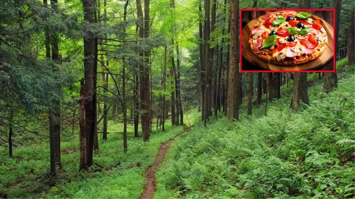 İzmit\'te film gibi olay! Pizzacıya giden şahıs, yolunu şaşırınca ormanda kayboldu