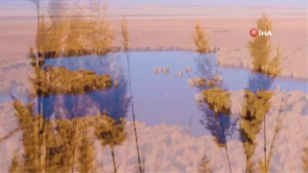 Kayseri Doğa Koruma ve Milli Parklar Müdürü Harun Dindar: "İklimlerin çakıştığı noktada bulunması bitki ve hayvan çeşitliliğine yansıyor"