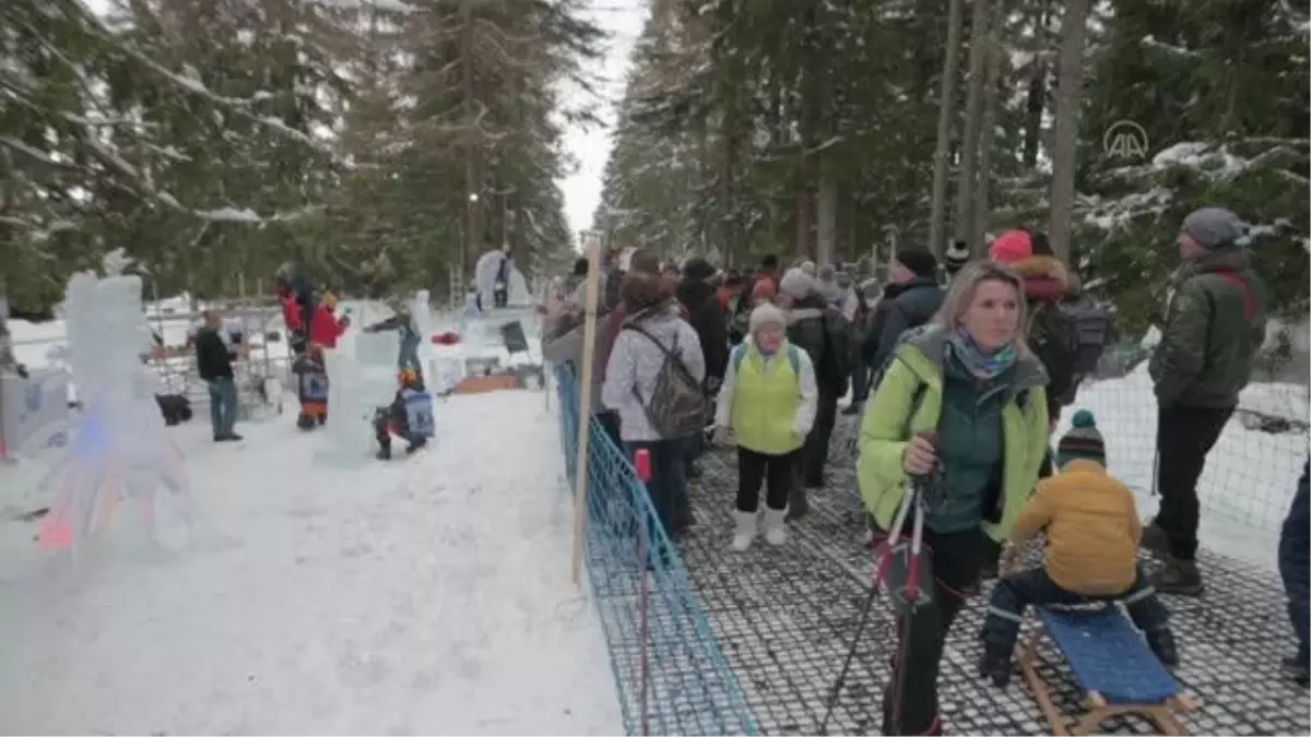 Slovakya'da Uluslararası Buz Heykel Şampiyonası