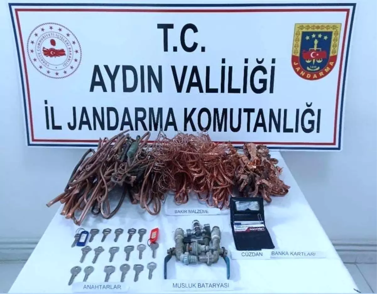 Jandarma şüphesinde haklı çıktı, hırsızları yakaladı