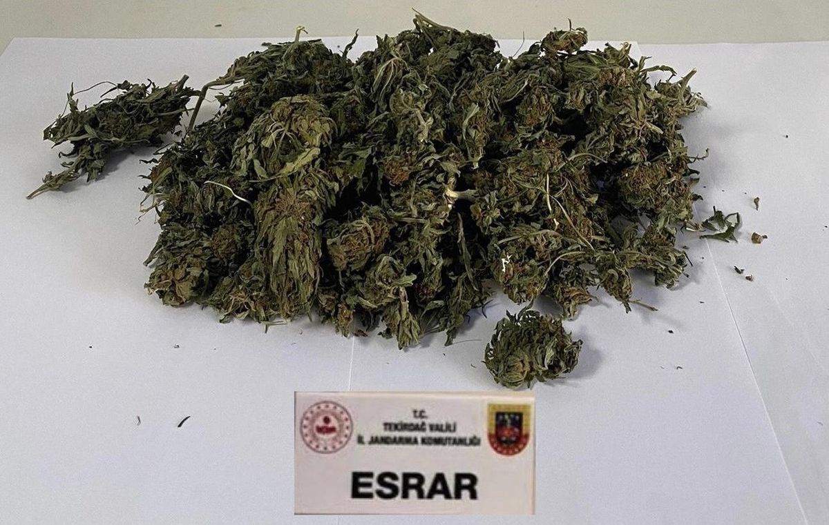 Tekirdağ\'da 585 gram esrar ele geçirilen otomobildeki 2 şüpheli gözaltına alındı