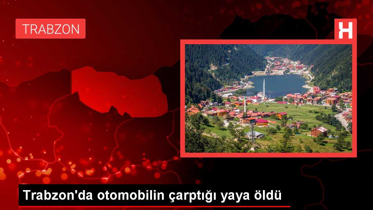 Trabzon'da otomobilin çarptığı yaya öldü