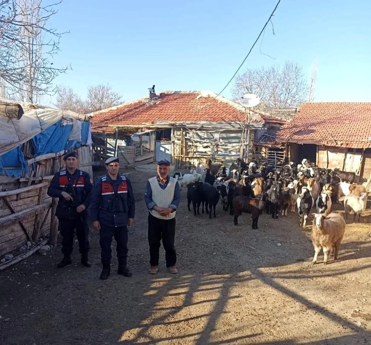 Burdur\'da kaybolan 70 küçükbaş hayvan, jandarma ekipleri tarafından bulundu