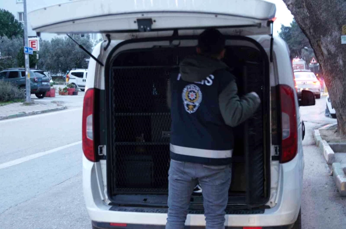 Bursa\'da hırsızlıktan 9 kişi tutuklandı