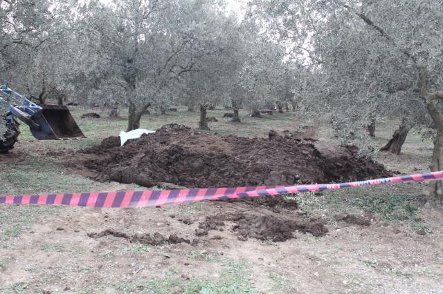 Bursa'da zeytin bahçesine getirilen gübrenin içinde ceset bulundu