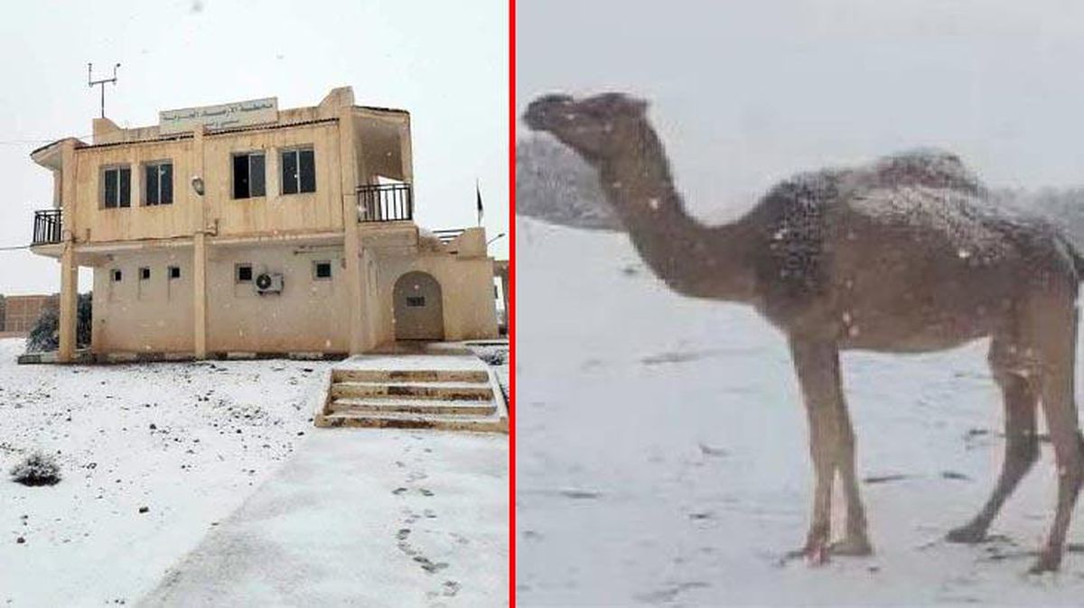 Cezayir'de çöldeki bazı bölgelere kar yağdı