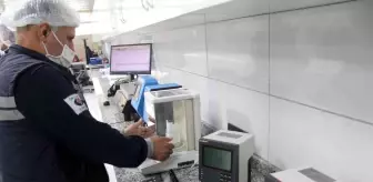 Deniz yosunlarından ambalaj üretildi