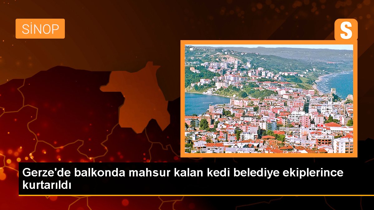 Gerze\'de balkonda mahsur kalan kedi belediye ekiplerince kurtarıldı