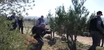 İsrail Batı Şeria'da Filistinlilere ait 8 evi yıktı