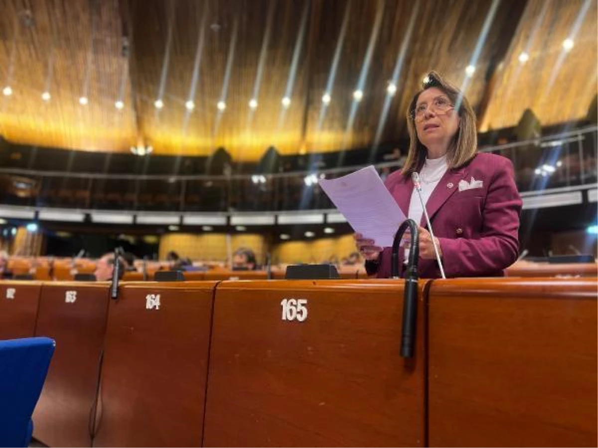 Milletvekili Günay, Avrupa Konseyi Parlamenter Meclisi\'ne hitap etti: Göz yummak teşvik etmektir