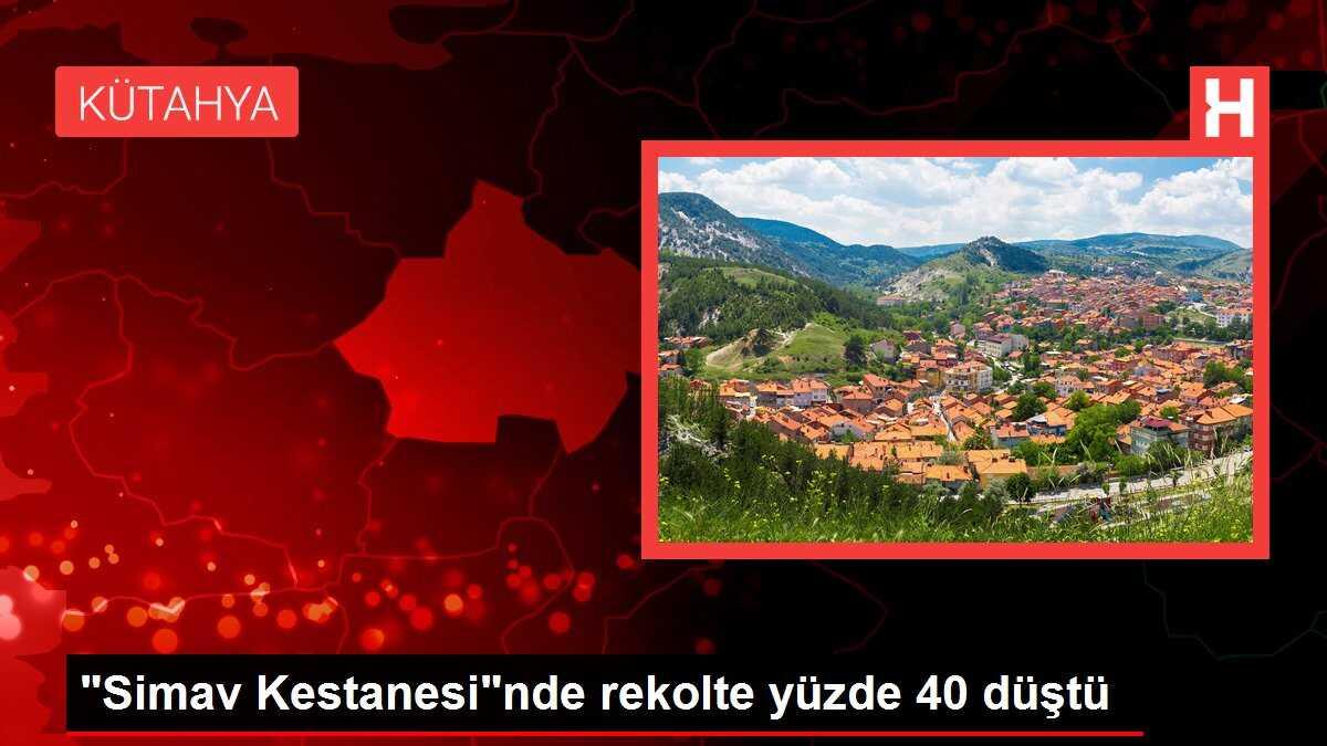 'Simav Kestanesi'nde rekolte yüzde 40 düştü