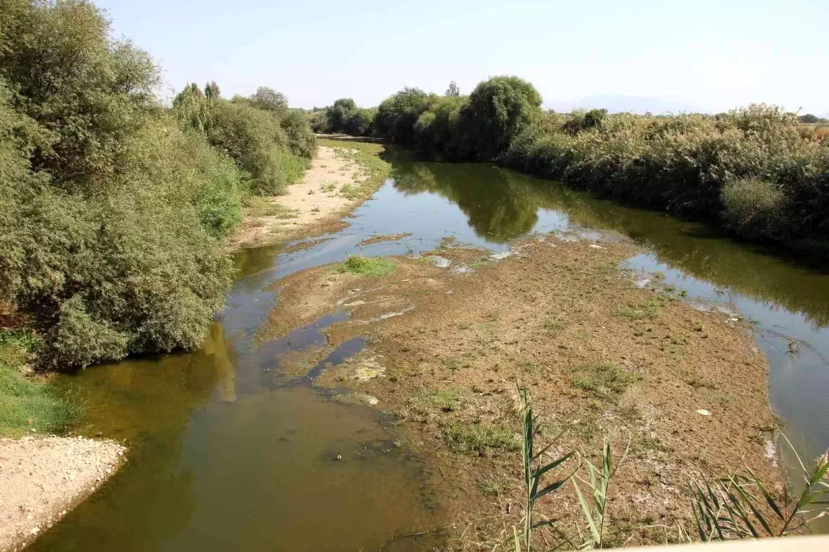 Aydın\'da barajların doluluk oranları düştü