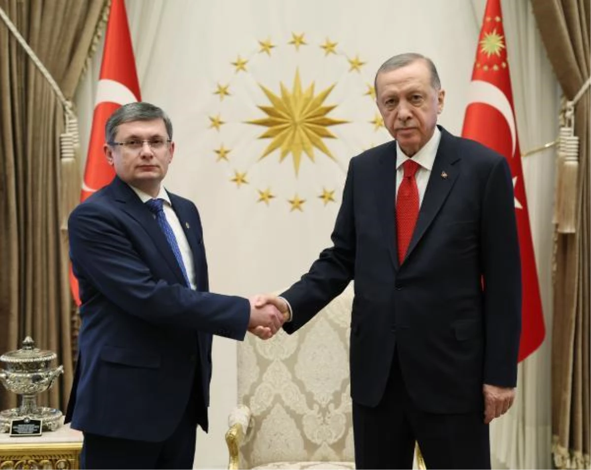 Cumhurbaşkanı Erdoğan, Moldova Meclis Başkanı Grosu\'yu kabul etti