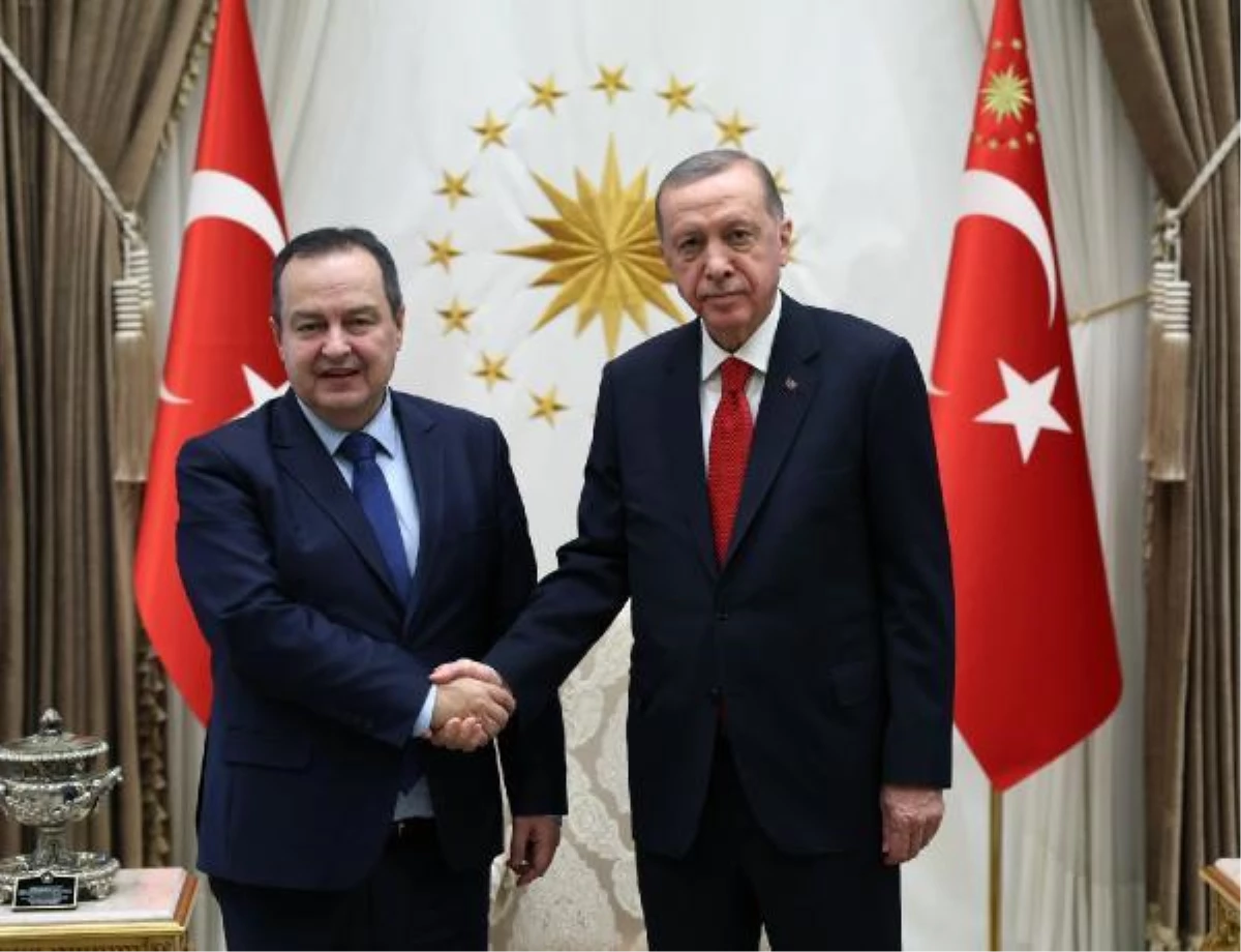 Cumhurbaşkanı Erdoğan, Sırbistan Başbakan Birinci Yardımcısı ve Dışişleri Bakanı Dacic\'i kabul etti