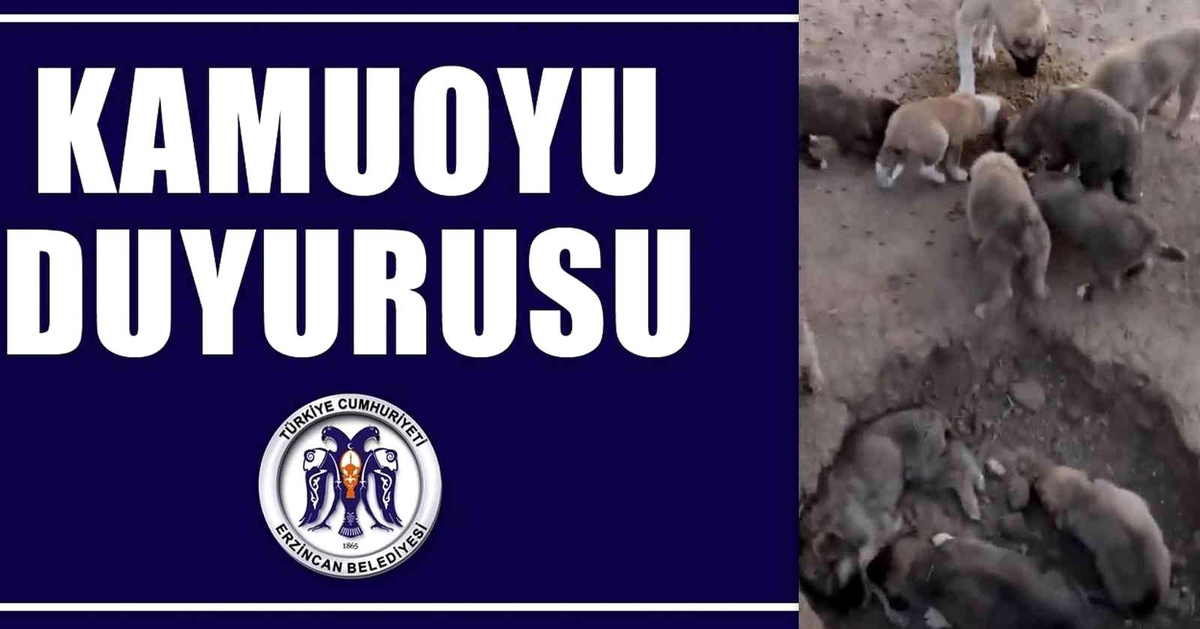 Erzincan Belediyesinden hayvan bakımeviyle ilgili iddialara yönelik 2 gün sonra açıklama yapıldı