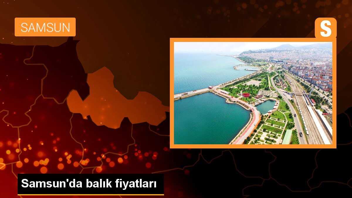 Samsun\'da balık fiyatları