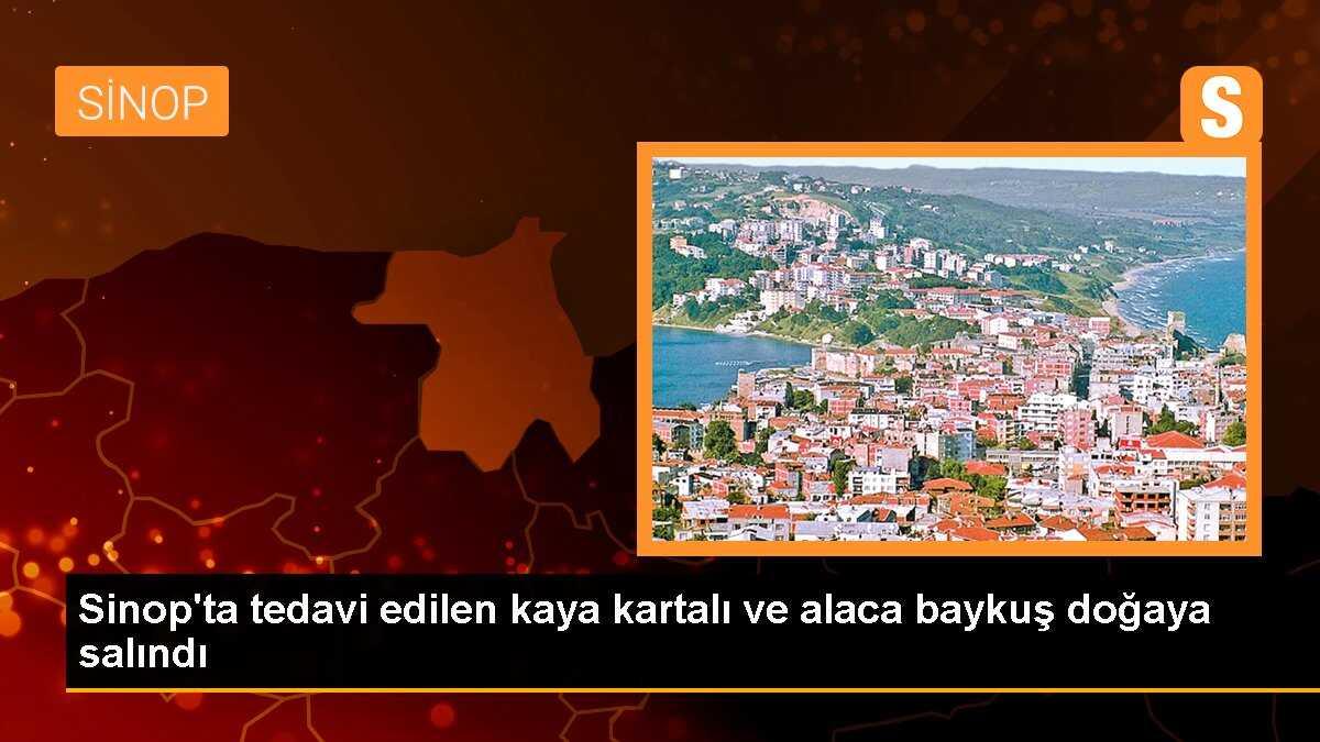 Sinop\'ta tedavi edilen kaya kartalı ve alaca baykuş doğaya salındı