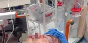 Sivas Ziraat Odası Sekreteri'ne saldırı