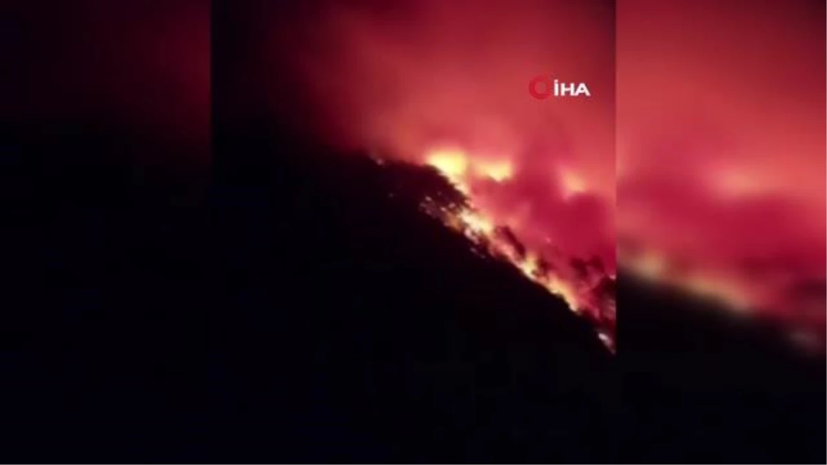 Alanya\'da orman yangını