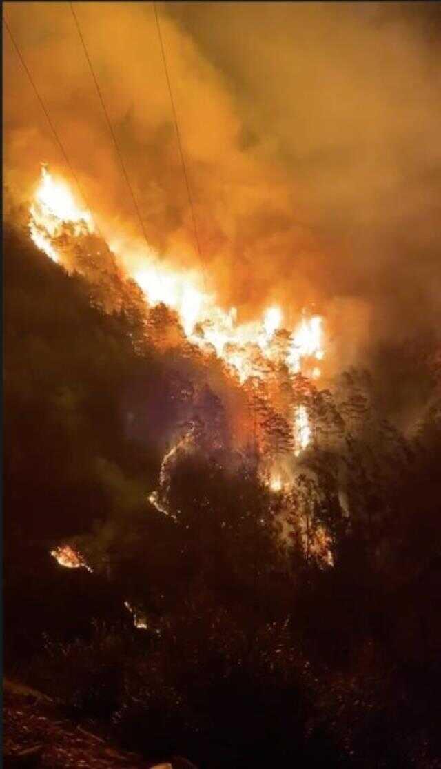 Alanya'daki yangın dört ayrı noktada başladı