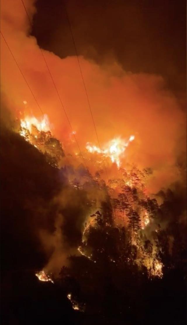 Alanya'daki yangın dört ayrı noktada başladı