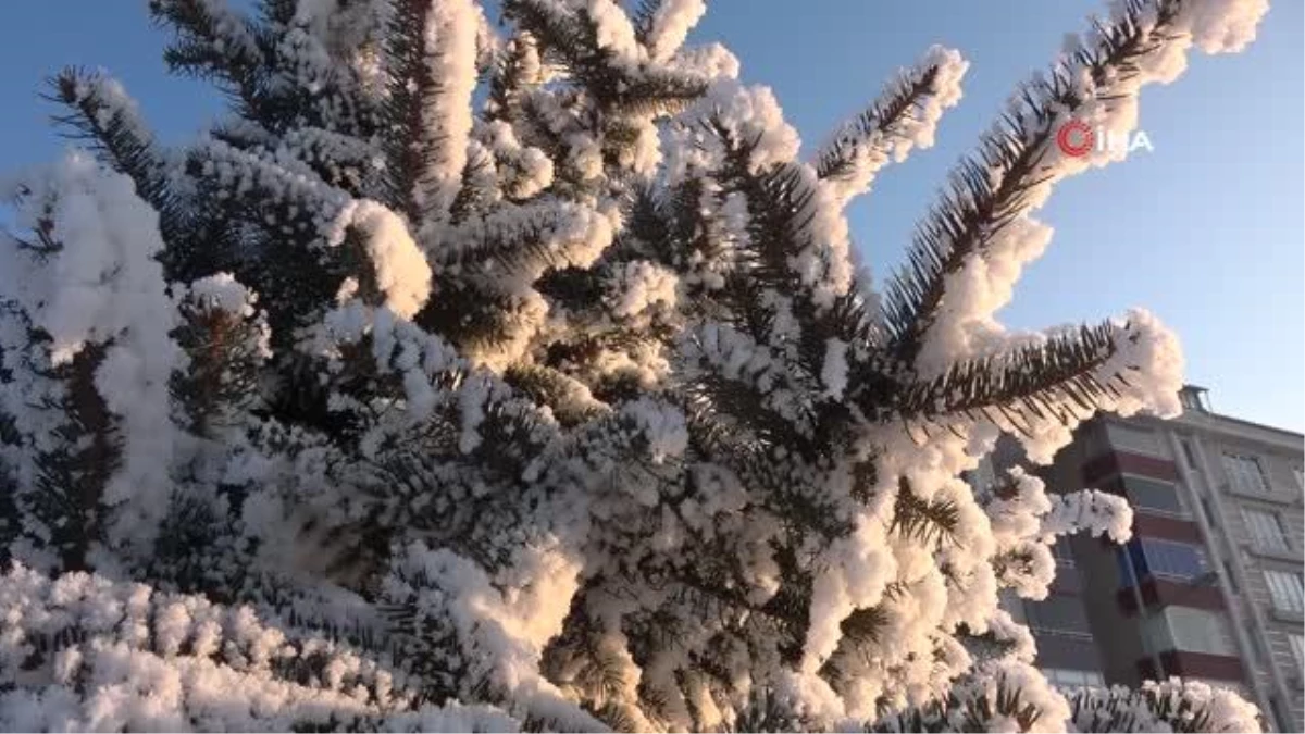 Ardahan\'da Sibirya soğukları: Termometreler eksi 23 dereceyi gösterdi, araçlar çalışmadı