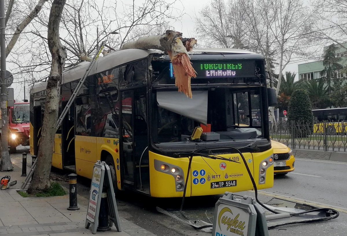 Fatih\'te İETT otobüsü yol kenarındaki ağaca çarptı