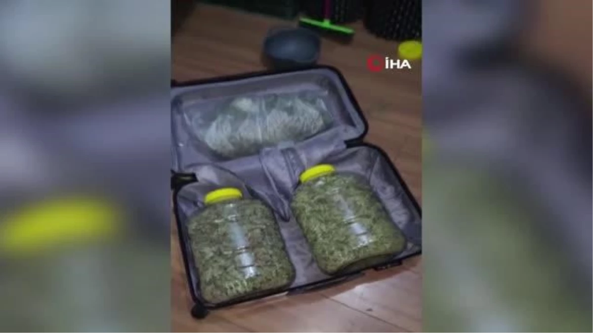 Kartal\'da uyuşturucu serasına çevrilen evde 10 kilo marihuana ele geçirildi
