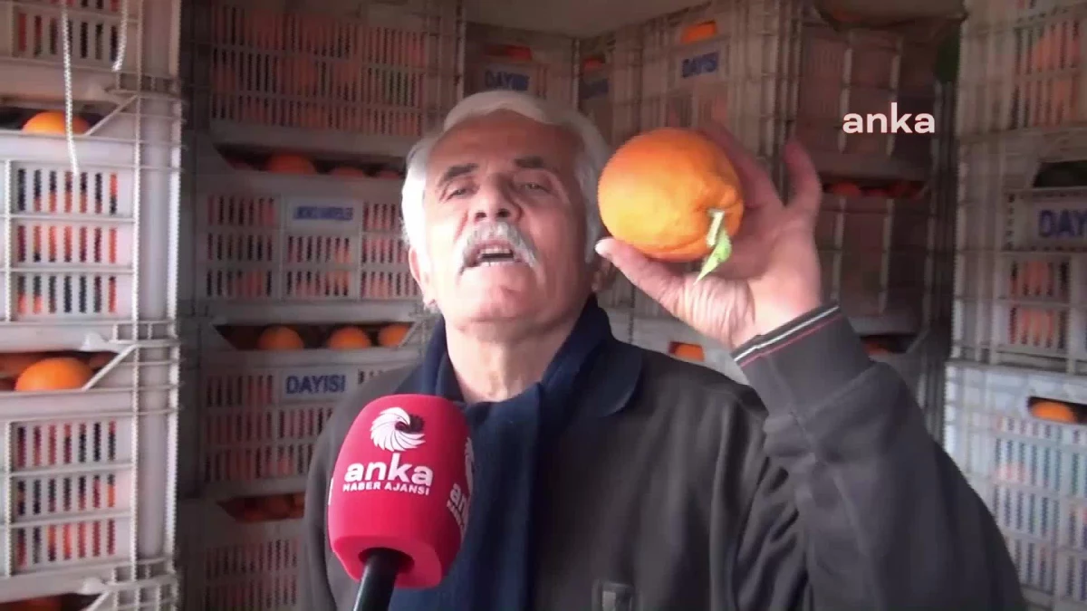Sinoplu Pazarcı: "Ben Portakalın 3 Kilosunu 45 TL\'den Sattığım Zaman Benim Karım 4-5 Tl. Para Mıdır Bu?"