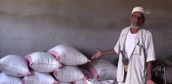 Yemen'deki iç savaş çiftçilerin üretim yapmasına imkan vermiyor