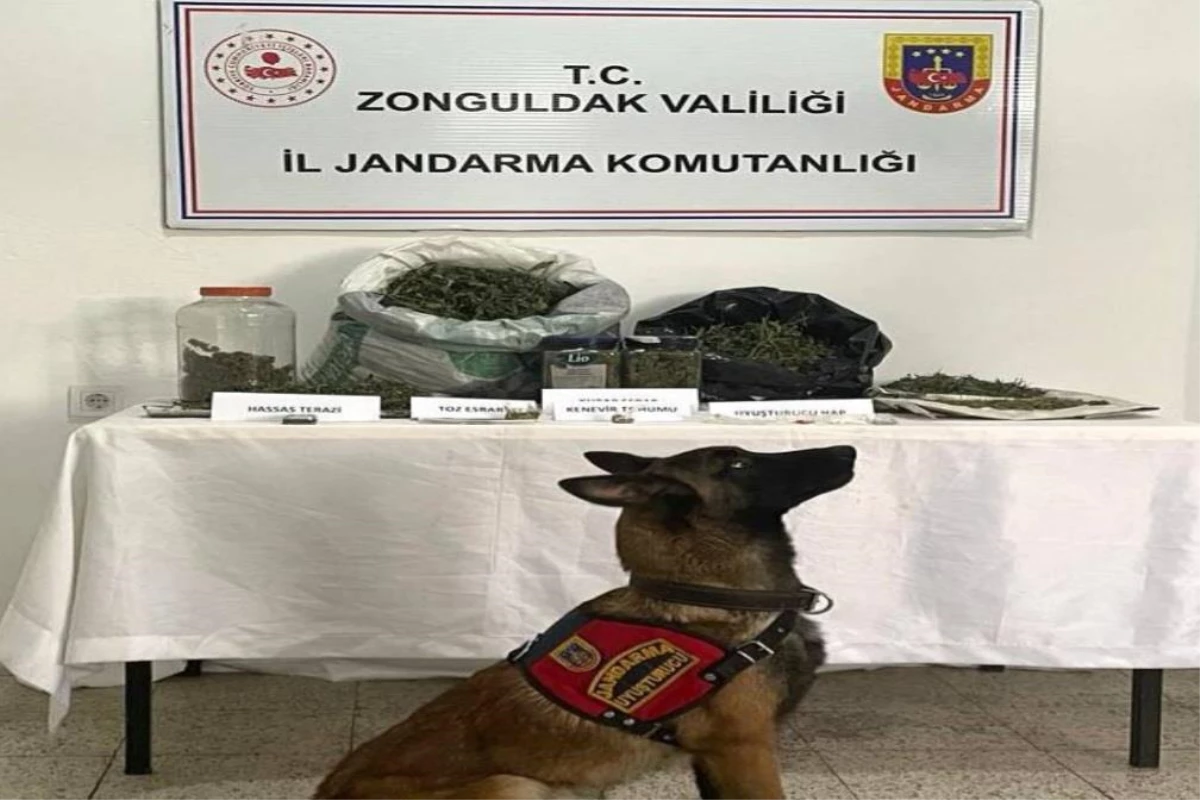 Zonguldak\'ta uyuşturucu operasyonunda yakalanan zanlı tutuklandı