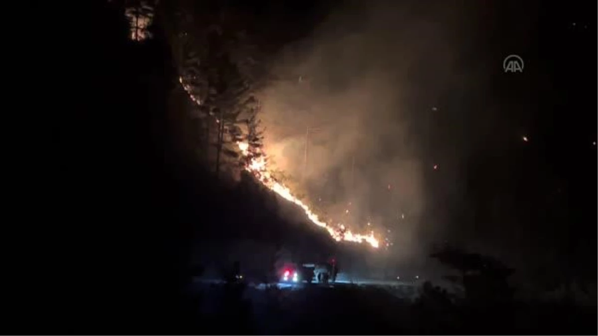Alanya\'da orman yangını başladı (2)