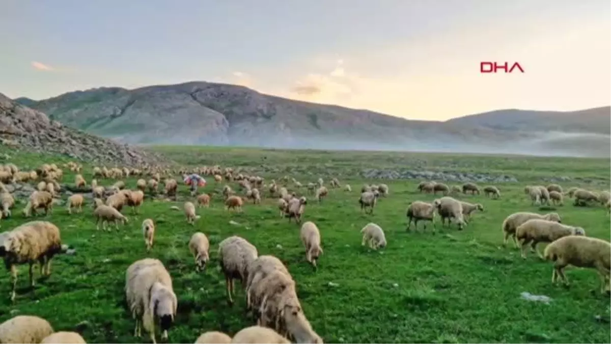 Bakan Kirişci, Sivaslı çobanla bir araya geldi