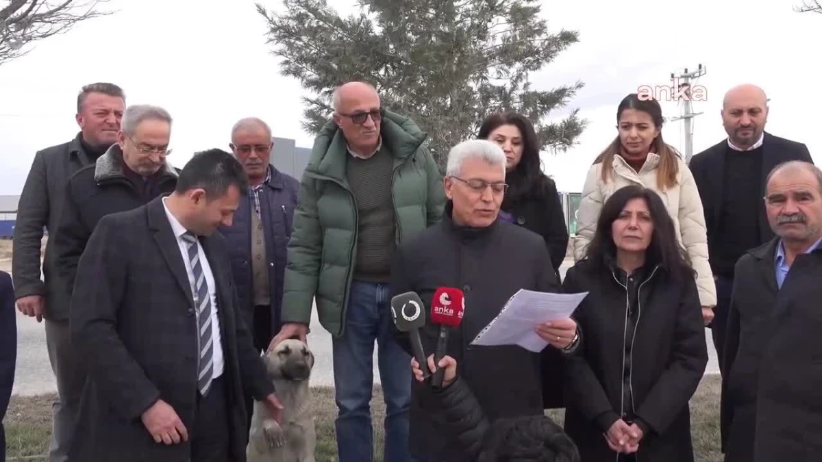 CHP Aksaray İl Başkanlığı ve Vatandaşlar, 7 Yavru Köpeğin Öldürülmesine Tepki Gösterdi: "Suç Duyurusunda Bulunacağız"