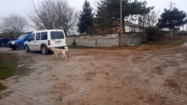 87 yaşındaki emekli astsubay, eşini ve bir oğlunu öldürdü, diğer oğlunu da ağır yaraladı