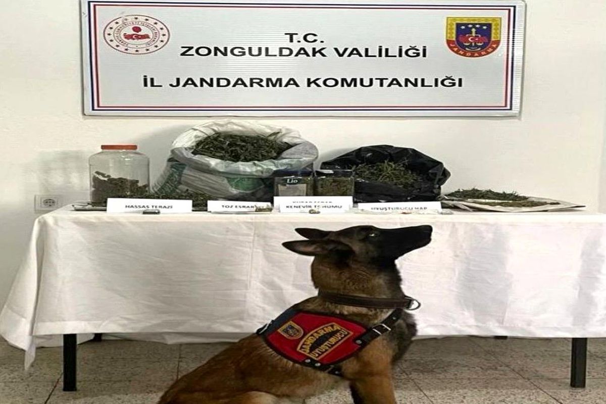Ereğli'de uyuşturucu operasyonu: 1 gözaltı