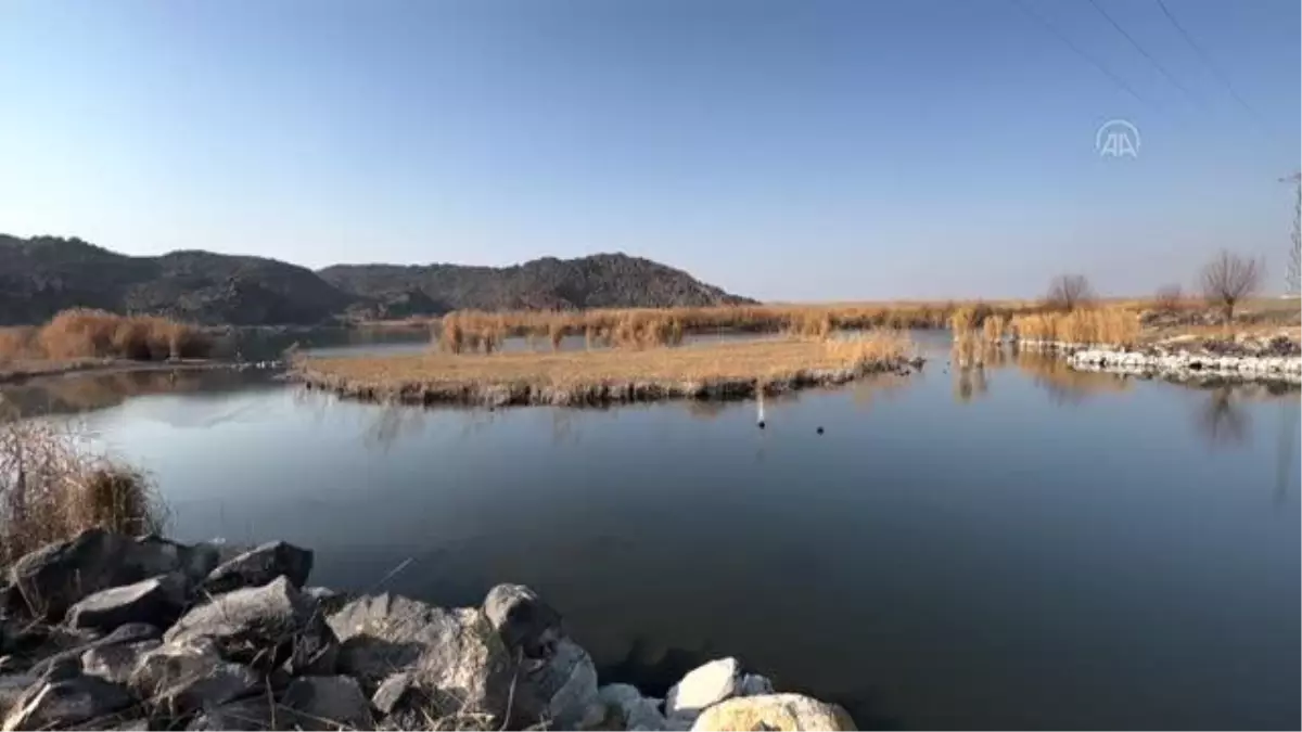 Karasu sulak alanında su seviyesi düştü