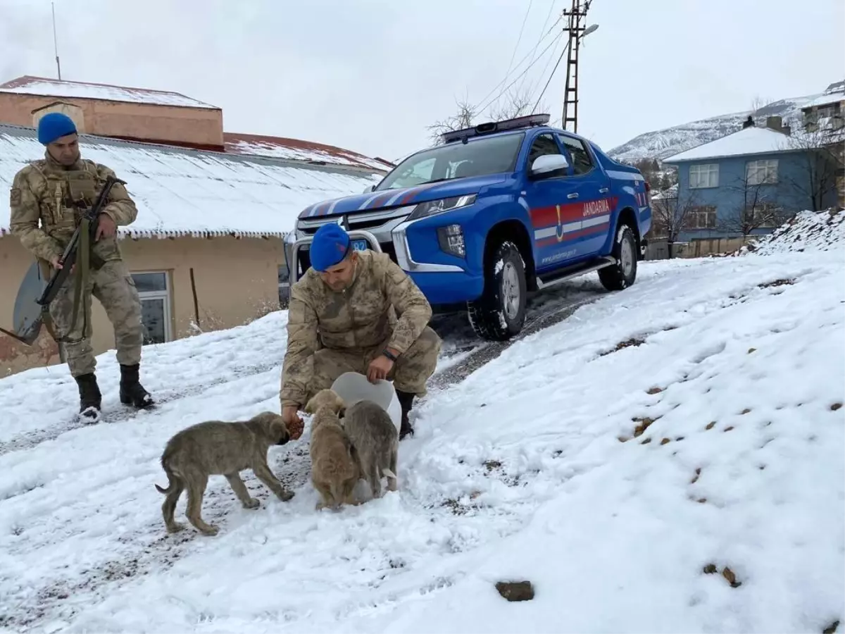 Tunceli\'de jandarmadan yürekleri ısıtan davranış