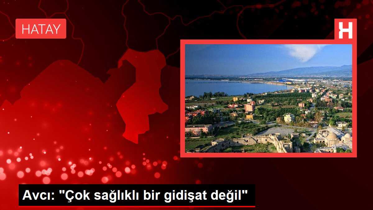 Avcı: 'Çok sağlıklı bir gidişat değil'