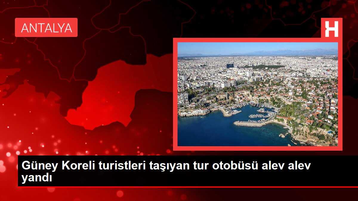 Güney Koreli turistleri taşıyan tur otobüsü alev alev yandı