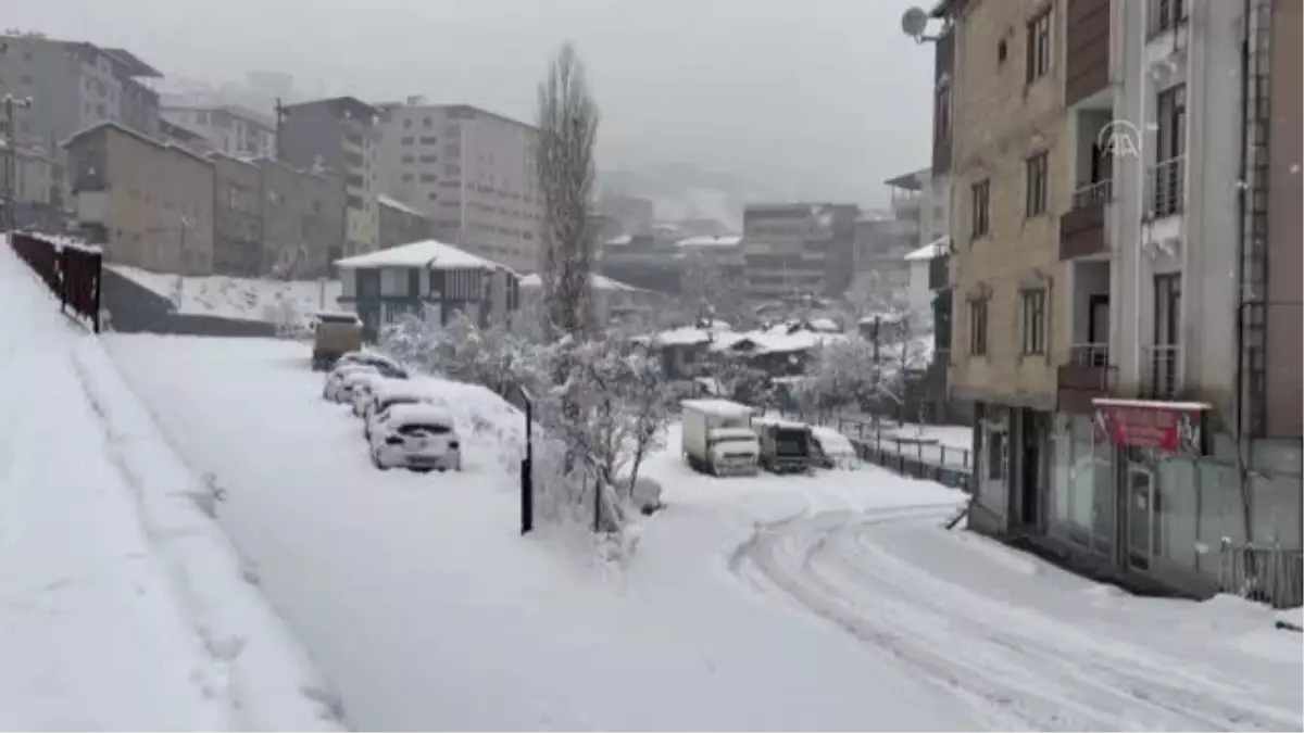 Kar yağışı etkili oluyor - Şemdinli (2)