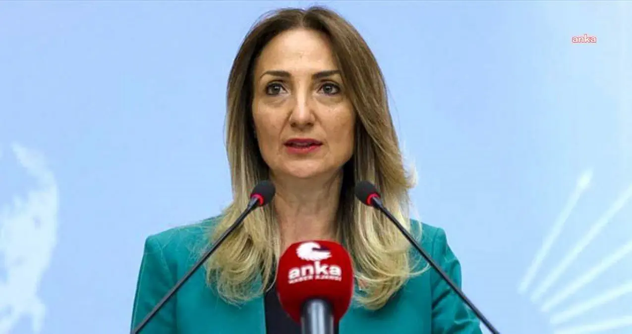 Aylin Nazlıaka\'dan H.K.G. Davası Açıklaması: "Ayyuka Çıkan Bu Rezaletin Üzerinin Kapatılmasına İzin Vermeyeceğiz"