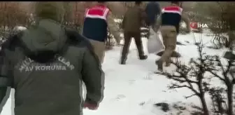 Yaban hayvanları unutulmadı, birçok noktaya yem bırakıldı
